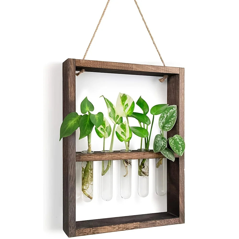 Wooden Plant Propagation Frame