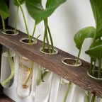 Wooden Plant Propagation Frame