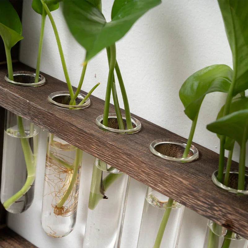 Wooden Plant Propagation Frame