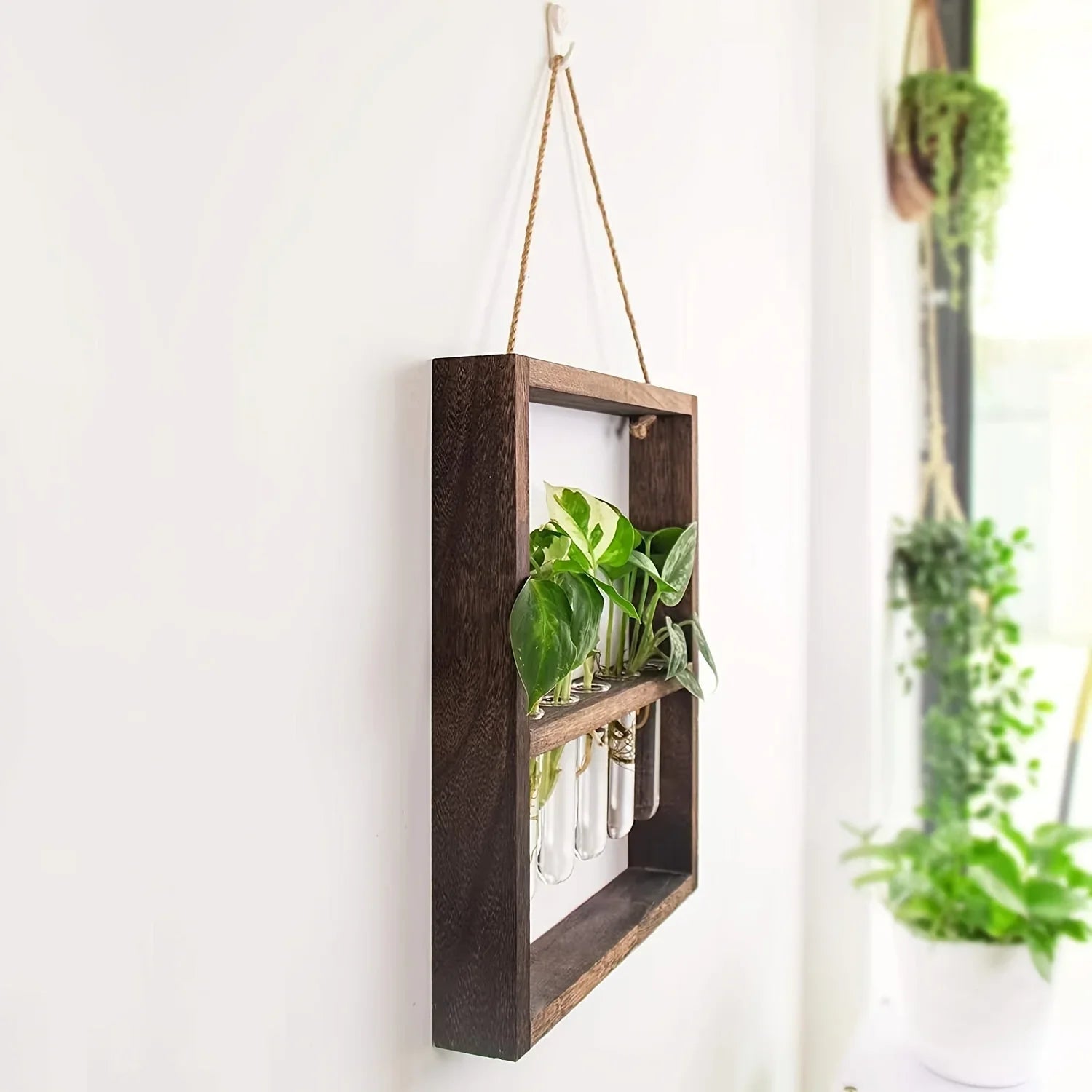 Wooden Plant Propagation Frame