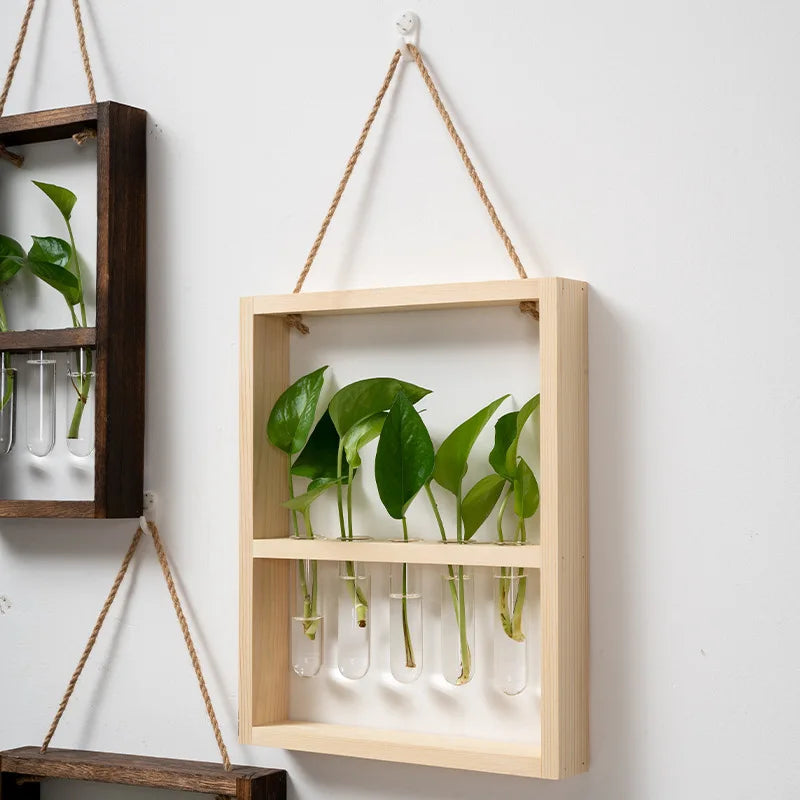 Wooden Plant Propagation Frame