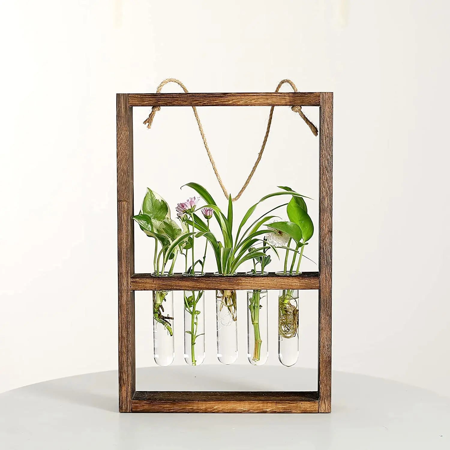 Wooden Plant Propagation Frame